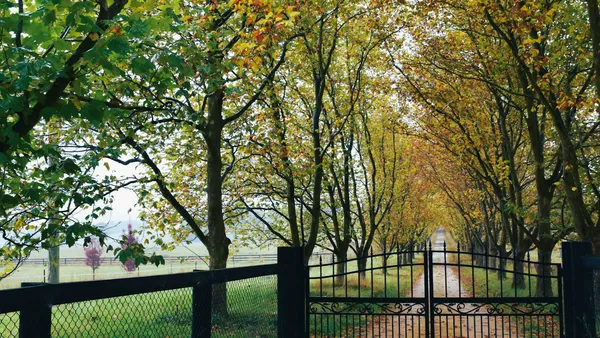 A long autumn tree-lined driveway leading to a closed metal gate