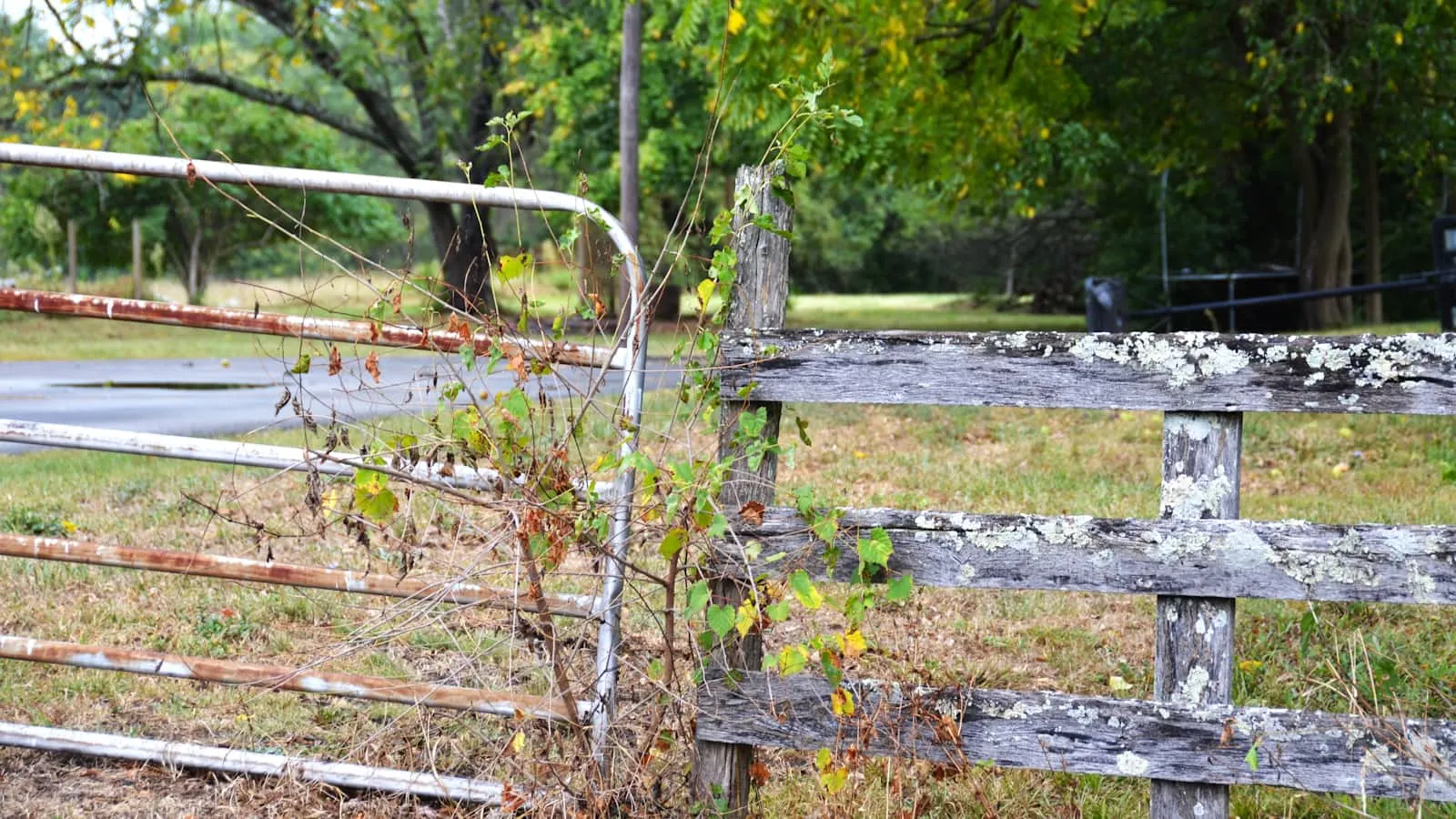 Rustic wooden fence with a metal swing gate on a rural property