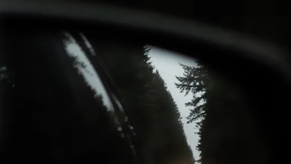 A dark, moody view through a car side window at dusk, pine-forest silhouettes and a pale overcast sky visible through the glass, the door frame in shadow
