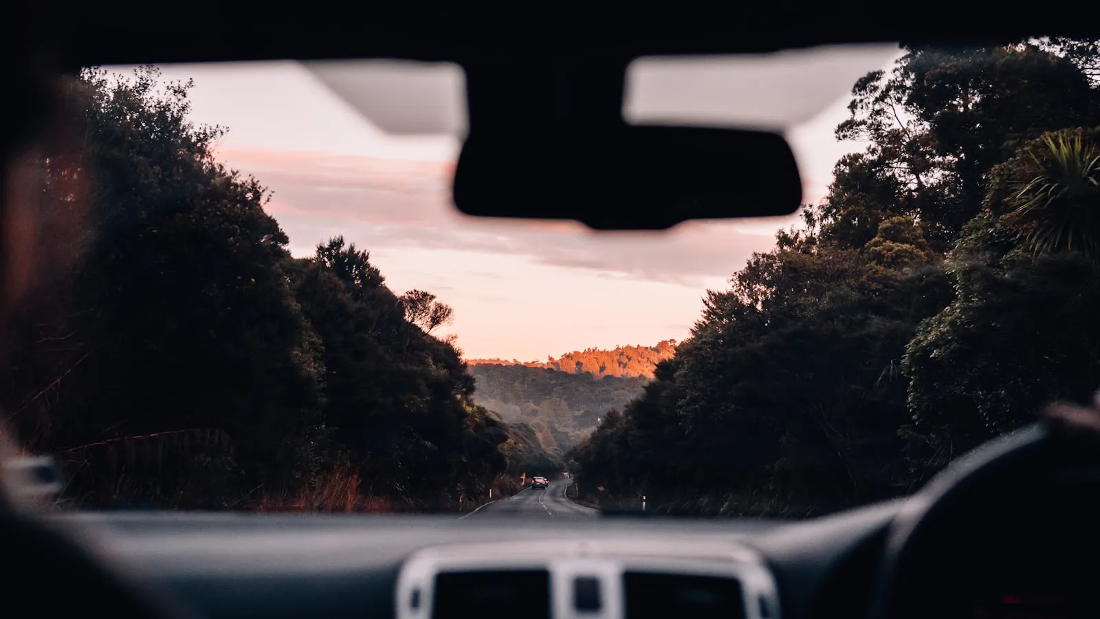 Windshield view of a tree-lined road at dusk, dashboard edge and rear-view mirror visible from the driver's seat
